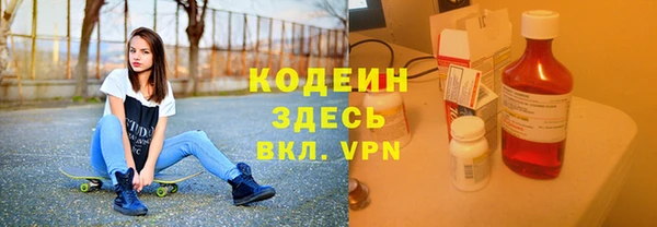 ПСИЛОЦИБИНОВЫЕ ГРИБЫ Козловка