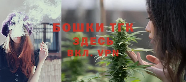 ПСИЛОЦИБИНОВЫЕ ГРИБЫ Козловка