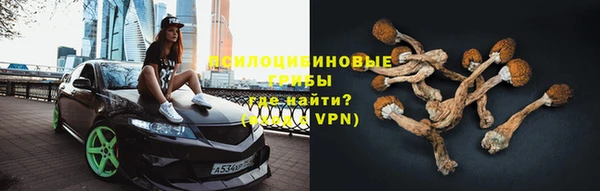 меф Козельск