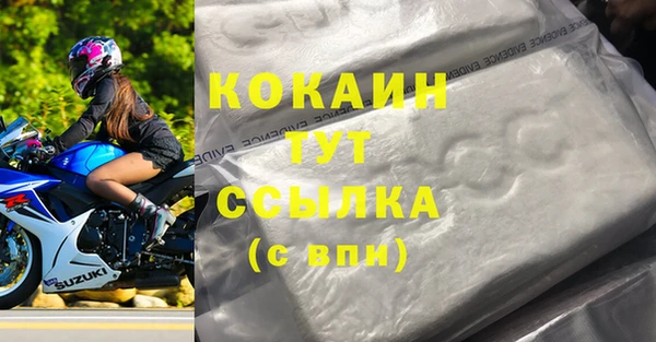 ПСИЛОЦИБИНОВЫЕ ГРИБЫ Козловка