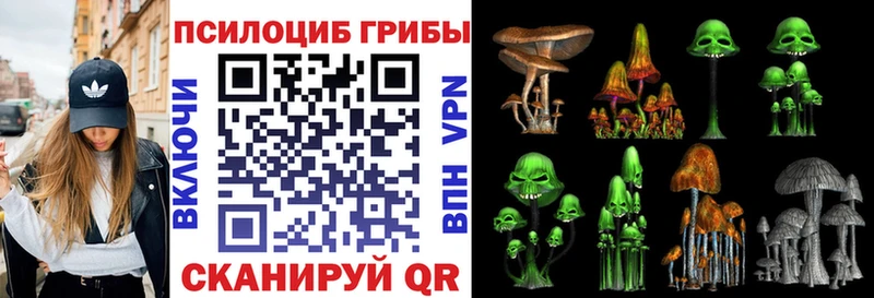 где купить наркотик  Кировград  Галлюциногенные грибы MAGIC MUSHROOMS 